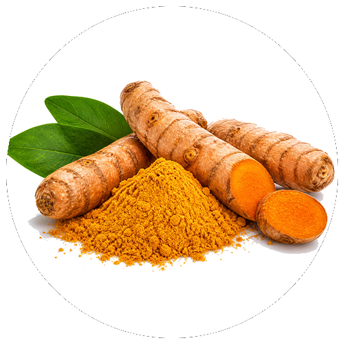 Cúrcuma