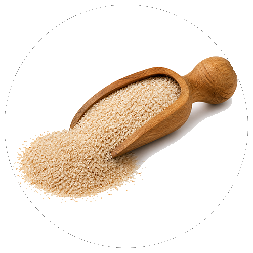 Cáscara de psyllium