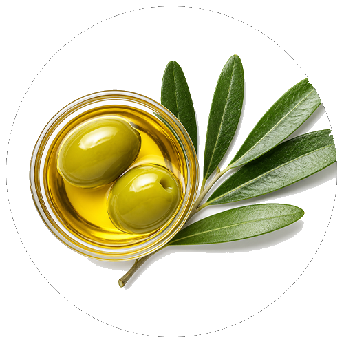 Aceite vegetal