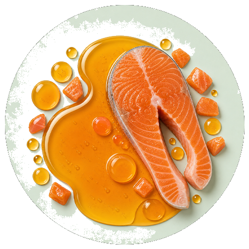 100% aceite de salmón noruego